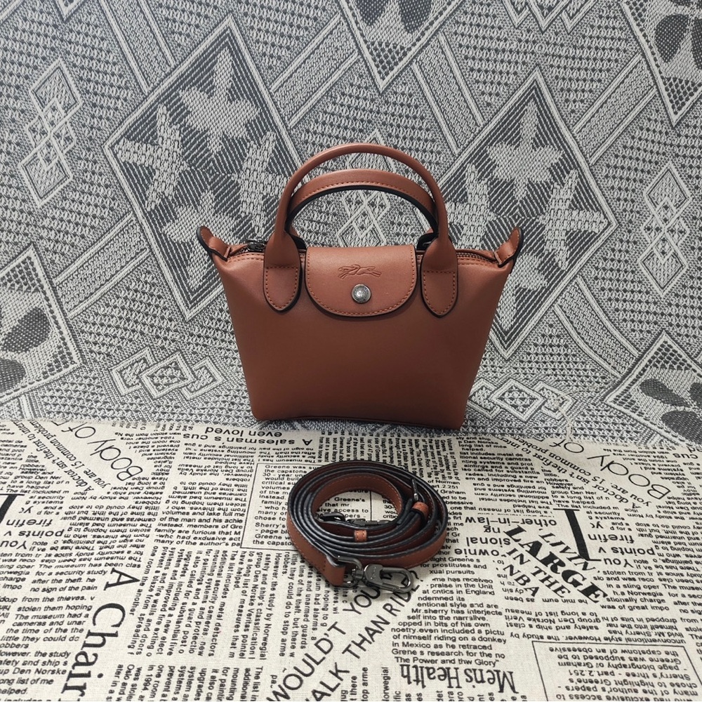Longchamp Mini Leather Dumpling Bag